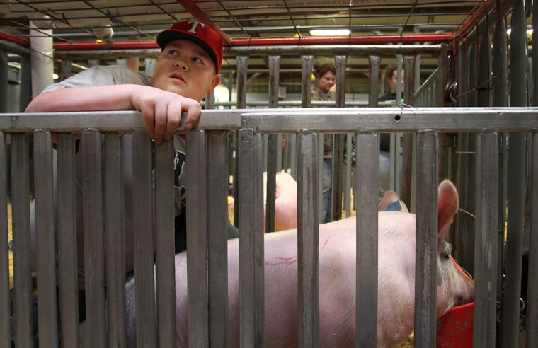 Bell County Youth Fair
